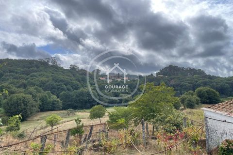 Villa i Paredes de Coura, Viana do Castelo, Paredes de Coura - € 80.000 | Ref: CD0009 - foto 3