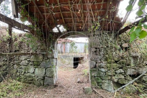 Villa i Paredes de Coura, Viana do Castelo, Paredes de Coura - € 80.000 | Ref: CD0009 - foto 7