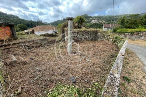 Villa i Paredes de Coura, Viana do Castelo, Paredes de Coura - € 80.000 | Ref: CD0009 - foto 17