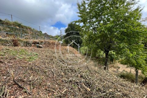 Villa i Paredes de Coura, Viana do Castelo, Paredes de Coura - € 80.000 | Ref: CD0009 - foto 19