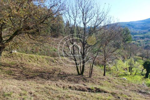 Villa i Paredes de Coura, Viana do Castelo, Paredes de Coura - € 90.000 | Ref: CD0018 - foto 5