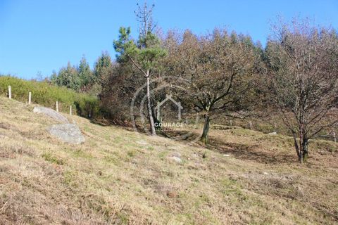 Villa i Paredes de Coura, Viana do Castelo, Paredes de Coura - € 90.000 | Ref: CD0018 - foto 6