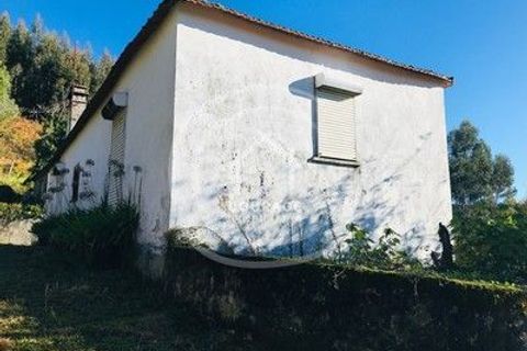 Villa i Paredes de Coura, Viana do Castelo, Paredes de Coura - € 90.000 | Ref: CD0018 - foto 11