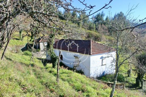 Villa i Paredes de Coura, Viana do Castelo, Paredes de Coura - € 90.000 | Ref: CD0018 - foto 12