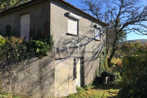 Villa i Paredes de Coura, Viana do Castelo, Paredes de Coura - € 90.000 | Ref: CD0018 - foto 20