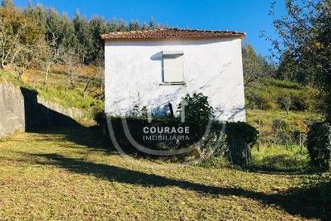 Villa i Paredes de Coura, Viana do Castelo, Paredes de Coura - € 90.000 | Ref: CD0018 - foto 28