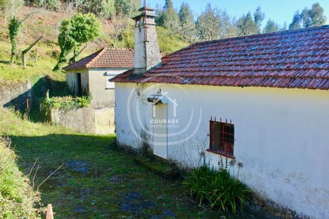 Villa i Paredes de Coura, Viana do Castelo, Paredes de Coura - € 90.000 | Ref: CD0018 - foto 30