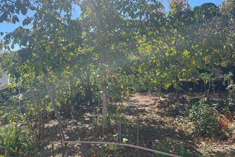 Villa i Aguiar da Beira, Guarda, Aguiar da Beira - € 260.000 | Ref: C0203-02582 - foto 6
