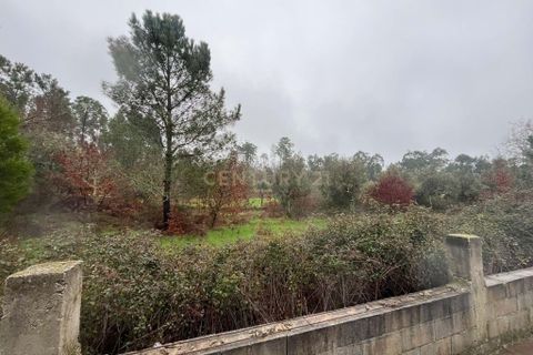 Helårsgrund i Viseu, Viseu, Viseu - € 128.000 | Ref: C0203-02586 - foto 3