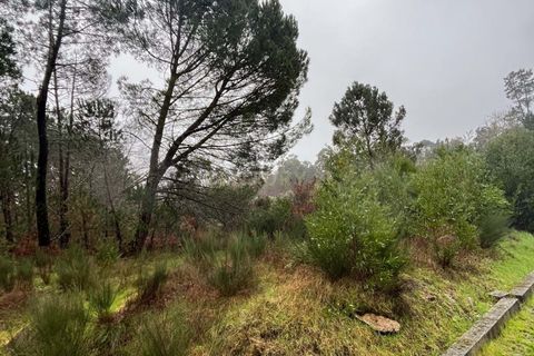 Helårsgrund i Viseu, Viseu, Viseu - € 128.000 | Ref: C0203-02586 - foto 4