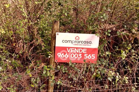 Helårsgrund i Viana do Castelo, Viana do Castelo, Viana do Castelo - € 160.000 | Ref: 401/T/00349 - foto 7