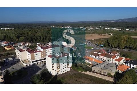 Helårsgrund i Mealhada, Aveiro, Mealhada - € 400.000 | Ref: SH0057-2025 - foto 2