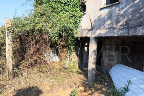 Villa a Viana do Castelo, Viana do Castelo, Viana do Castelo - € 27.000 | Ref: UNU-F1-06-25 - foto 6