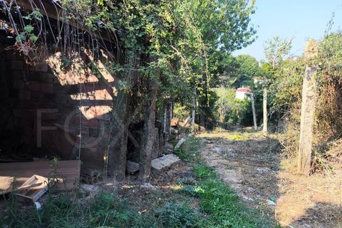Villa a Viana do Castelo, Viana do Castelo, Viana do Castelo - € 27.000 | Ref: UNU-F1-06-25 - foto 9