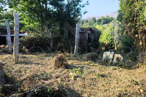 Villa a Viana do Castelo, Viana do Castelo, Viana do Castelo - € 27.000 | Ref: UNU-F1-06-25 - foto 11