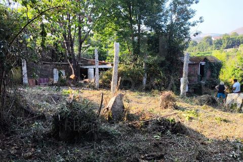 Villa a Viana do Castelo, Viana do Castelo, Viana do Castelo - € 27.000 | Ref: UNU-F1-06-25 - foto 13