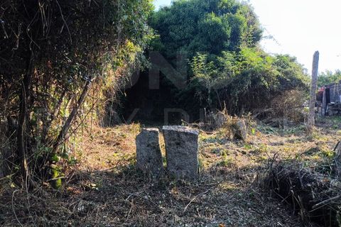 Villa a Viana do Castelo, Viana do Castelo, Viana do Castelo - € 27.000 | Ref: UNU-F1-06-25 - foto 14