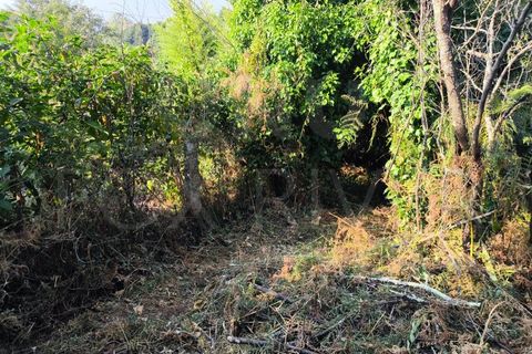 Villa a Viana do Castelo, Viana do Castelo, Viana do Castelo - € 27.000 | Ref: UNU-F1-06-25 - foto 15