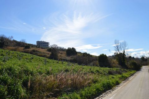 Helårsgrund i Vasto, Chieti, Vasto - € 12.000 | Ref: 349 - foto 2