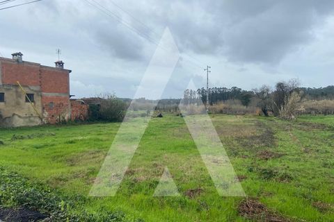 Helårsgrund i Anadia, Aveiro, Anadia - € 80.000 | Ref: 1051388/26 OB - foto 2