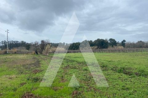 Helårsgrund i Anadia, Aveiro, Anadia - € 80.000 | Ref: 1051388/26 OB - foto 3
