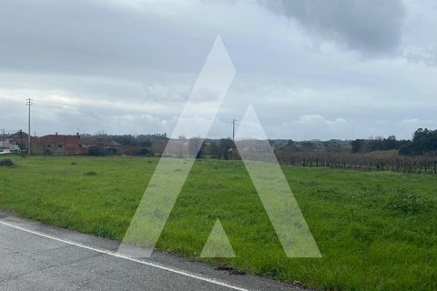 Helårsgrund i Anadia, Aveiro, Anadia - € 80.000 | Ref: 1051388/26 OB - foto 4