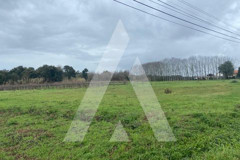 Helårsgrund i Anadia, Aveiro, Anadia - € 80.000 | Ref: 1051388/26 OB - foto 5
