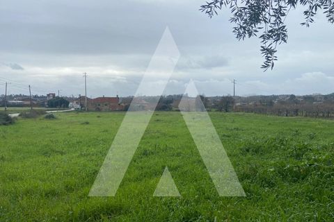 Helårsgrund i Anadia, Aveiro, Anadia - € 80.000 | Ref: 1051388/26 OB - foto 6