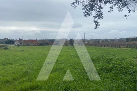 Helårsgrund i Anadia, Aveiro, Anadia - € 80.000 | Ref: 1051388/26 OB - foto 7