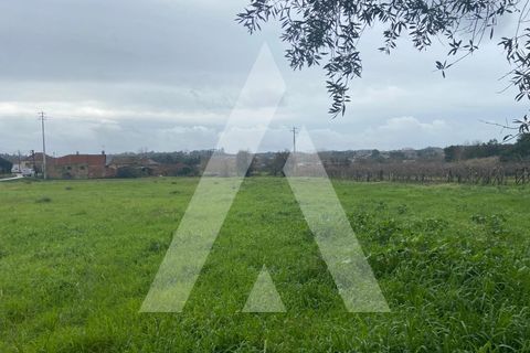 Helårsgrund i Anadia, Aveiro, Anadia - € 80.000 | Ref: 1051388/26 OB - foto 8
