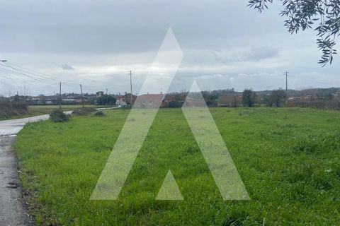 Helårsgrund i Anadia, Aveiro, Anadia - € 80.000 | Ref: 1051388/26 OB - foto 10