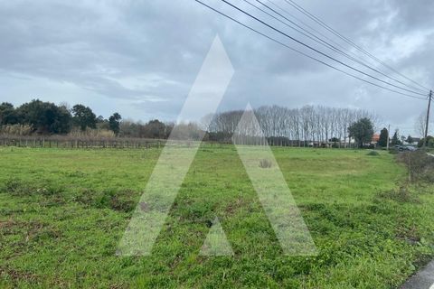 Helårsgrund i Anadia, Aveiro, Anadia - € 80.000 | Ref: 1051388/26 OB - foto 11