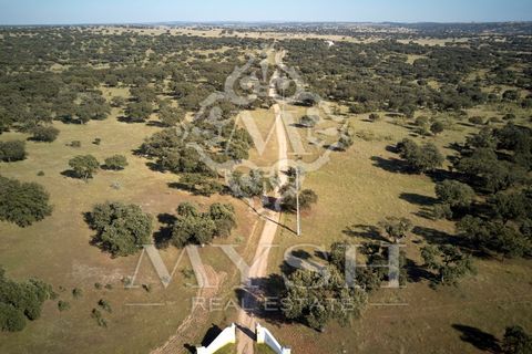 Helårsgrund i Monforte, Portalegre, Monforte - € 4.500.000 | Ref: Lot 888-2 - foto 2