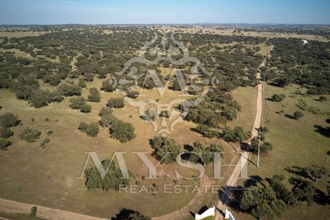 Helårsgrund i Monforte, Portalegre, Monforte - € 4.500.000 | Ref: Lot 888-2 - foto 3
