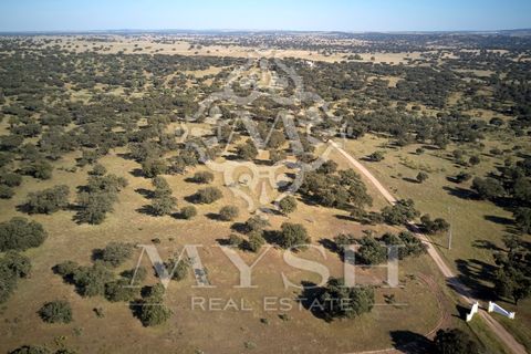 Helårsgrund i Monforte, Portalegre, Monforte - € 4.500.000 | Ref: Lot 888-2 - foto 4