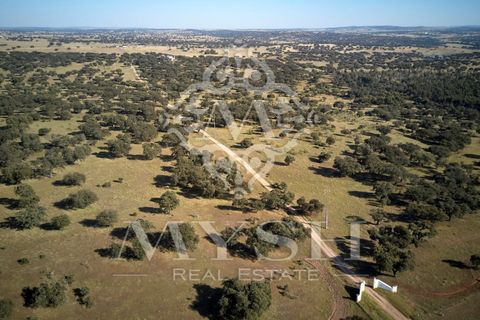 Helårsgrund i Monforte, Portalegre, Monforte - € 4.500.000 | Ref: Lot 888-2 - foto 6