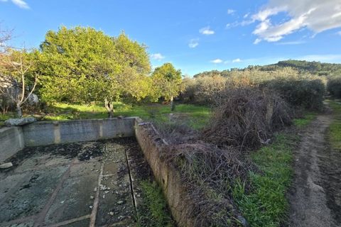 Farm i Aranhas, Castelo Branco, Aranhas - € 298.000 | Ref: KWPT-026453 - foto 24