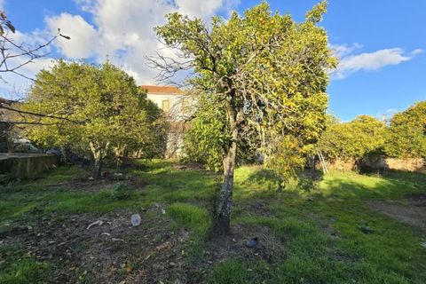 Farm i Aranhas, Castelo Branco, Aranhas - € 298.000 | Ref: KWPT-026453 - foto 25