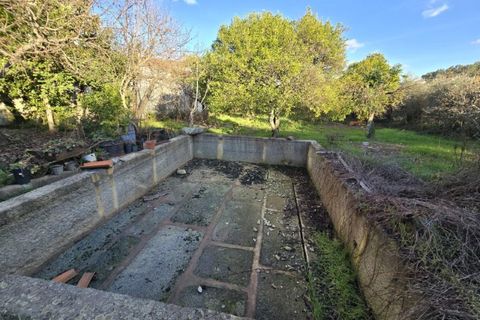 Farm i Aranhas, Castelo Branco, Aranhas - € 298.000 | Ref: KWPT-026453 - foto 26