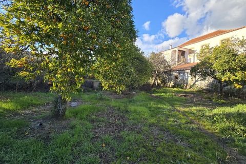 Farm i Aranhas, Castelo Branco, Aranhas - € 298.000 | Ref: KWPT-026453 - foto 27