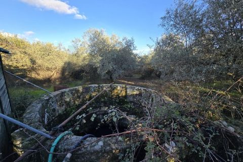 Farm i Aranhas, Castelo Branco, Aranhas - € 298.000 | Ref: KWPT-026453 - foto 28