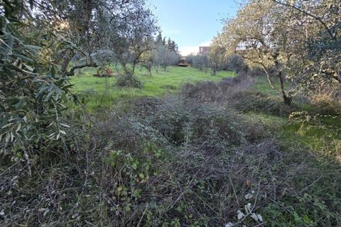 Farm i Aranhas, Castelo Branco, Aranhas - € 298.000 | Ref: KWPT-026453 - foto 30