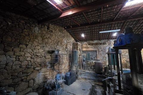 Farm i Aranhas, Castelo Branco, Aranhas - € 298.000 | Ref: KWPT-026453 - foto 33