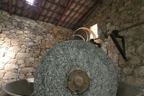 Farm i Aranhas, Castelo Branco, Aranhas - € 298.000 | Ref: KWPT-026453 - foto 40