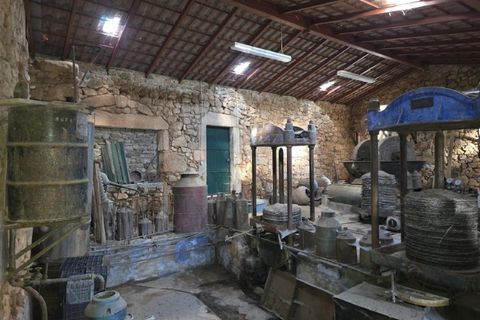 Farm i Aranhas, Castelo Branco, Aranhas - € 298.000 | Ref: KWPT-026453 - foto 42