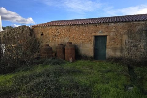 Farm i Aranhas, Castelo Branco, Aranhas - € 298.000 | Ref: KWPT-026453 - foto 44