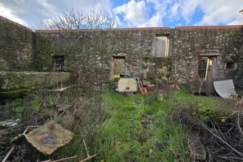 Farm i Aranhas, Castelo Branco, Aranhas - € 298.000 | Ref: KWPT-026453 - foto 47