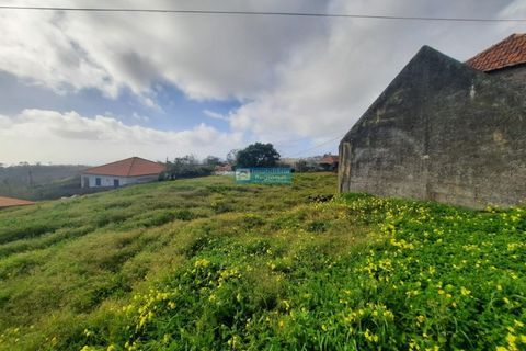 Villa i Calheta, Madeira, Calheta - € 195.000 | Ref: 1734 - foto 6