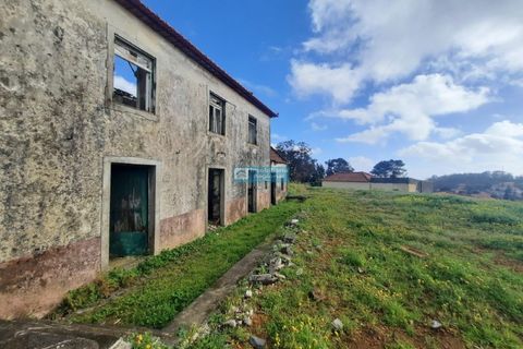 Villa i Calheta, Madeira, Calheta - € 195.000 | Ref: 1734 - foto 10