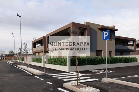 Villa a Loria, Treviso, Loria - € 380.000 | Ref: C-0882 - foto 2